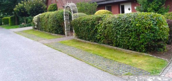 Reinforced grass verge